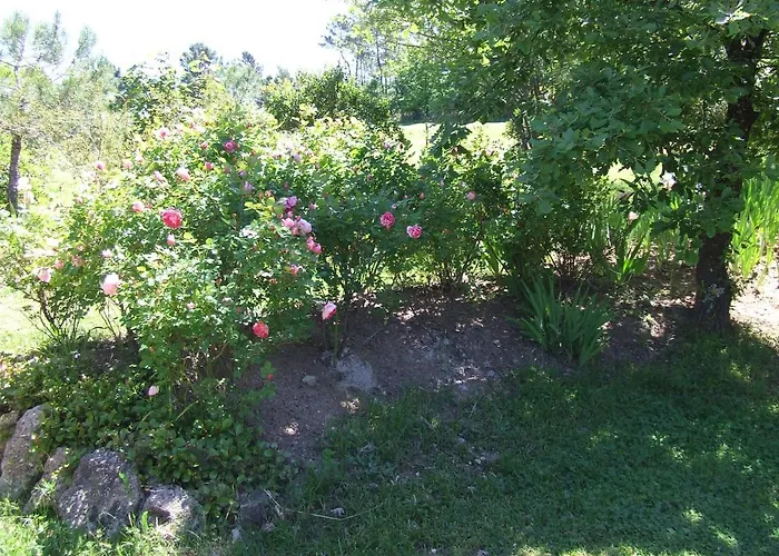 Bed & Breakfast Domaine Du Planas Ardeche 3*