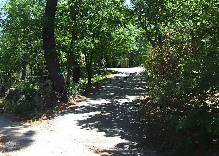 Bed & Breakfast Domaine Du Planas Ardeche