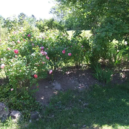Nocleg ze śniadaniem Domaine Du Planas Ardeche 3*