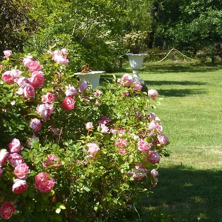 Domaine Du Planas Ardeche 3* Ailhon